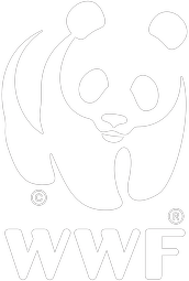 WWF Logo