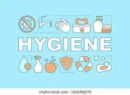 E-Learning Basis Hygiene